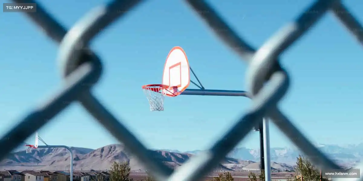 我们的核心竞争力